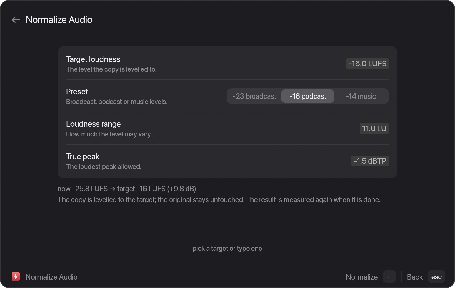 The Normalize Audio window showing the measured loudness, target presets and loudness range and true peak fields
